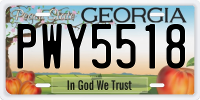 GA license plate PWY5518