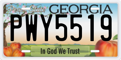 GA license plate PWY5519