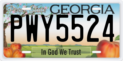 GA license plate PWY5524