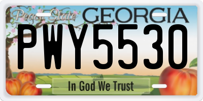 GA license plate PWY5530