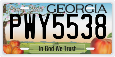 GA license plate PWY5538