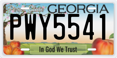 GA license plate PWY5541