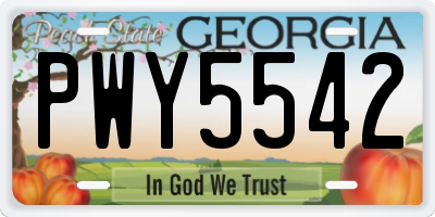 GA license plate PWY5542
