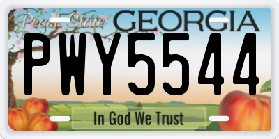 GA license plate PWY5544