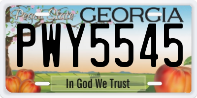 GA license plate PWY5545