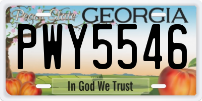 GA license plate PWY5546
