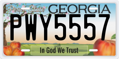 GA license plate PWY5557