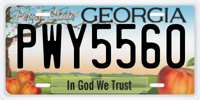GA license plate PWY5560