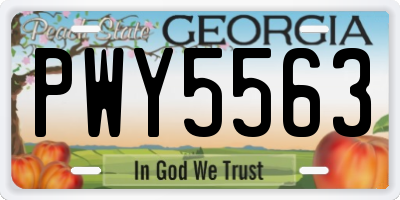 GA license plate PWY5563