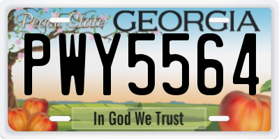 GA license plate PWY5564