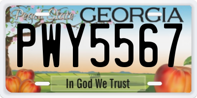 GA license plate PWY5567