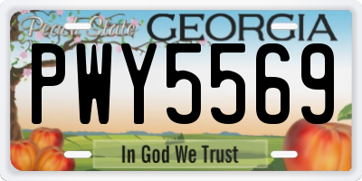 GA license plate PWY5569