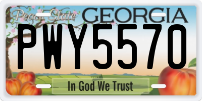 GA license plate PWY5570