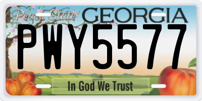 GA license plate PWY5577