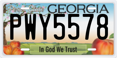 GA license plate PWY5578