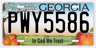 GA license plate PWY5586