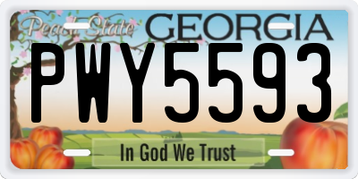 GA license plate PWY5593