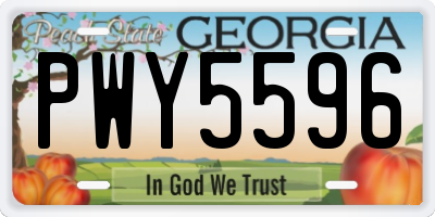 GA license plate PWY5596