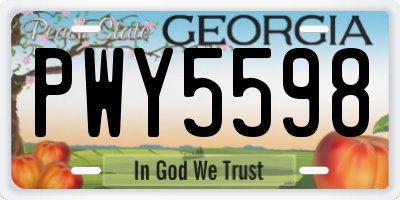 GA license plate PWY5598