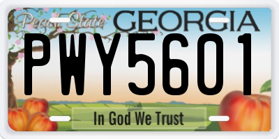 GA license plate PWY5601
