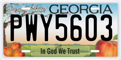 GA license plate PWY5603