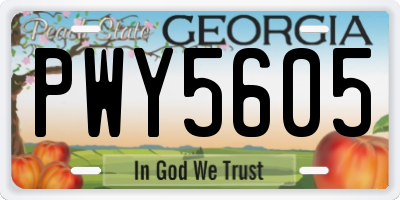 GA license plate PWY5605