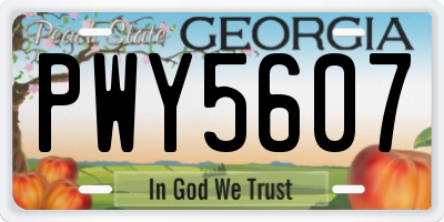 GA license plate PWY5607