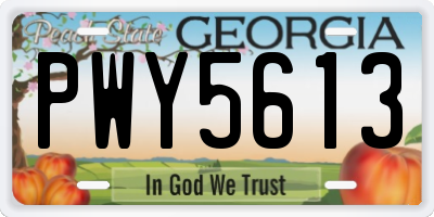 GA license plate PWY5613