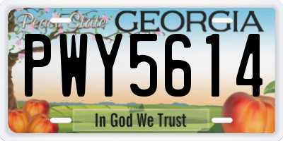 GA license plate PWY5614