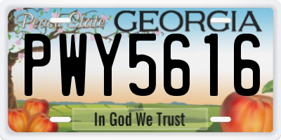 GA license plate PWY5616