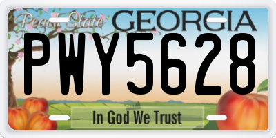 GA license plate PWY5628