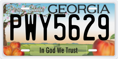 GA license plate PWY5629