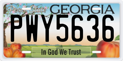 GA license plate PWY5636