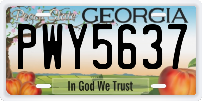 GA license plate PWY5637