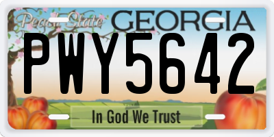 GA license plate PWY5642