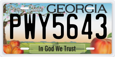 GA license plate PWY5643
