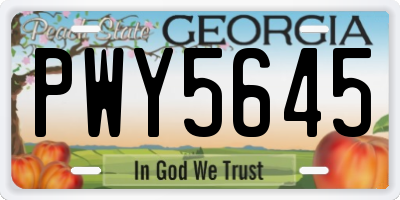 GA license plate PWY5645