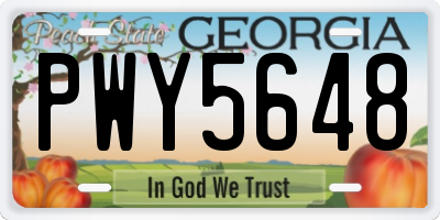 GA license plate PWY5648