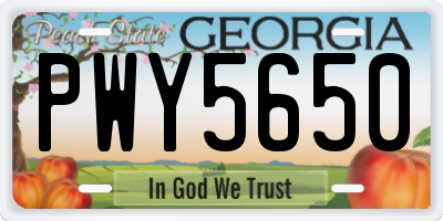GA license plate PWY5650