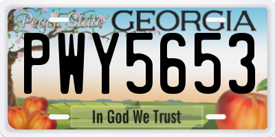 GA license plate PWY5653