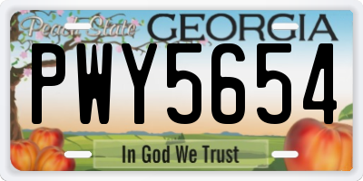 GA license plate PWY5654