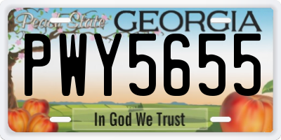 GA license plate PWY5655