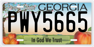 GA license plate PWY5665