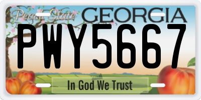 GA license plate PWY5667