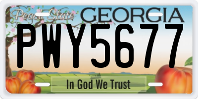 GA license plate PWY5677
