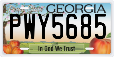 GA license plate PWY5685