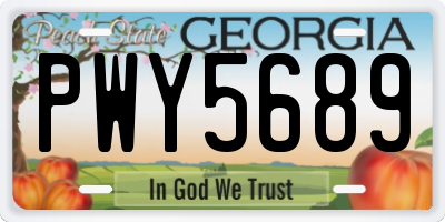 GA license plate PWY5689