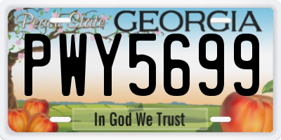 GA license plate PWY5699