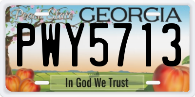 GA license plate PWY5713