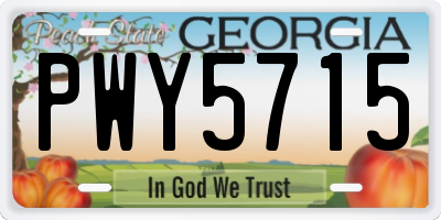 GA license plate PWY5715